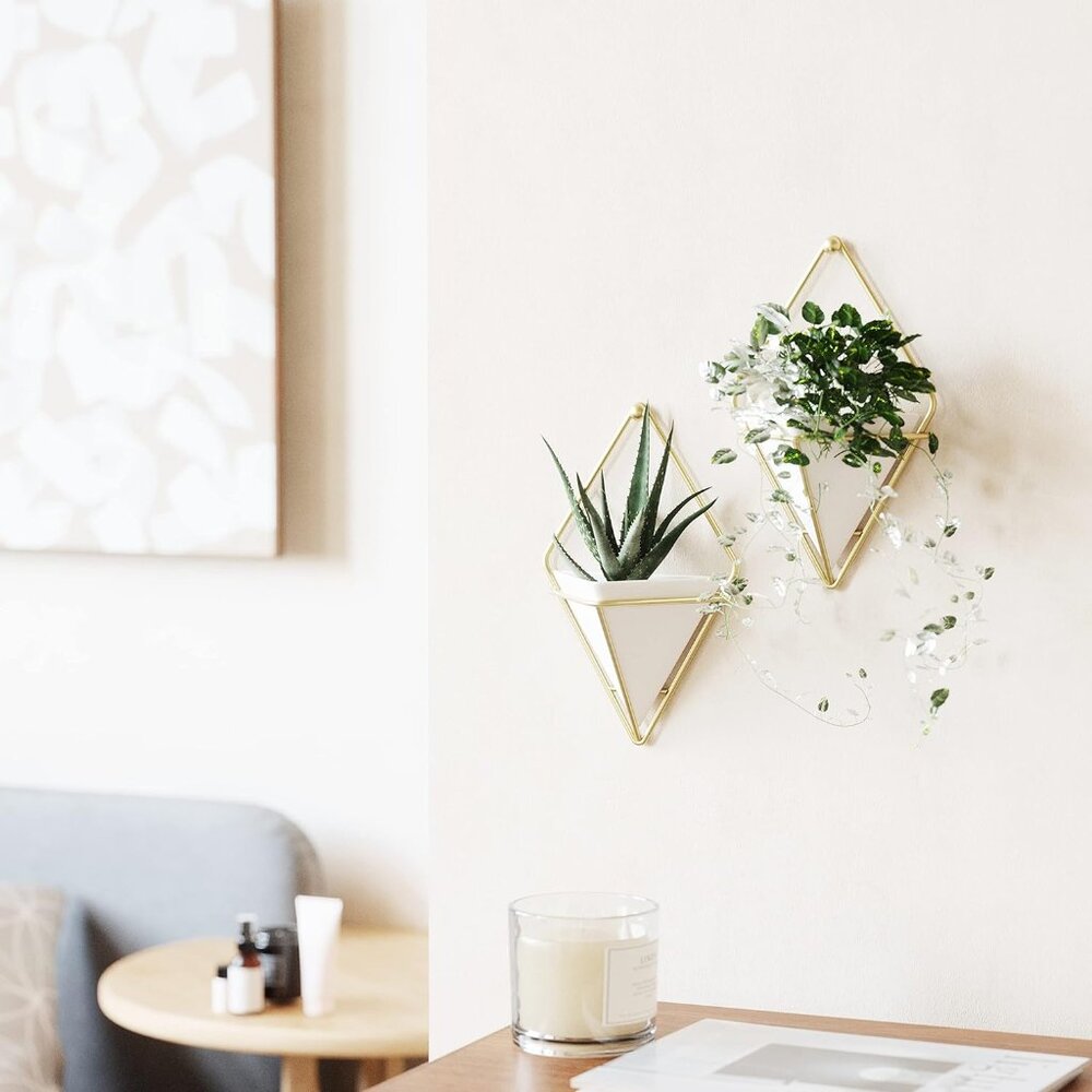 Trigg Hanging Planter Vase Wall Decor Set of 3